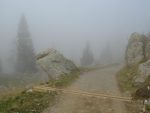 Et je longe la route