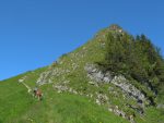 Et nous voilà sur la crête, le chemin tourne autour de la Dent de Jaman