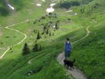 Nous descendons dans la combe de Montagne d'Amont