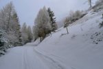 Après quelques passages limites, la neige se fait plus épaisse