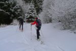 Fin de la clairière, début de la forêt