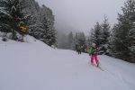 Pt1544, on tente la descente par la forêt et le chemin d'été