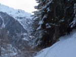 Et c'est parti à travers la forêt, chemin soupoudré de neige