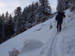 On arrive dans la clairière de Le Tailon