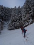 On se dirige ensuite vers la forêt