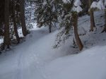 Un bref passage en forêt...