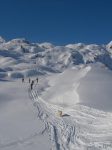 Vue depuis la cabane, on part vers le centre de la photo puis à droite. J'aurai le même rythme que ce chien (une chienne en fait), qui a fait le double en aller-retour !