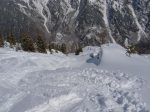 Puis on arrive dans une forêt clairsemée vers 2000m