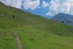 Portion tranquille du chemin pour les chalets de Tsalet d'Eison