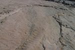 On découvre une première dalle, avec des traces de vagues et sur la droite des empreintes de pas.