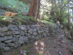 On passe à coté des murets paravalanches bientôt centenaires du Bois de la Chapelle