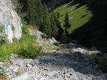 Comme le terrain est au N, donc humide, on quitte la partie hautes herbes pour le pierrier sur la gauche. On va le quitter pour passer dans la partie ombrée puis au soleil dans l'herbe (glissant !)