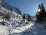 On va monter derrière le sapin sur la colline qui est sous le soleil, je n'ai pas vu de trace sur le couloir évident de camptocamp !