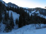 Puis on repasse dans la forêt et là ça devient pas terrible avec les vernes, les arbres, les cailloux ...