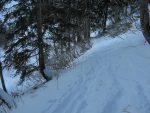 Je rechausse mais pas longtemps, pour le passage des sapins on re-déchausse et juste après on trouve une coulée qui est passé sur le chemin (ça ne gène pas la progréssion)