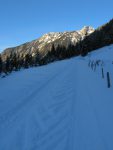 Le chemin d'été est trop encombré par les travaux forestiers, je remonte au mieux par la route.