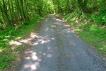 Chemin de la Forêt, que d'imagination !