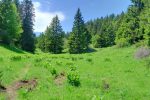 C'est bel et bien la fin de la forêt, une petite bise fait du bien.