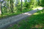 Difficile de trouver le chemin, longeons la route