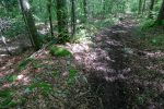 Je pense que ces fils sont mis là pour l'inalpe