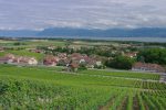 Derrière le temple vue sur La Vigne du Monde