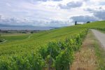 Vue sur le Léman