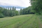 On longe la forêt pour retrouver les hauts de Féchy.