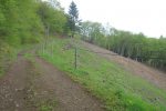 Chemin forestier