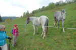 Rencontres chevalines