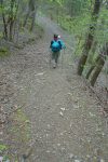 Et on rejoint la route forestière