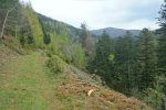 Je remonte et suit le chemin du Lac du Ballon. Grand Ballon au fond
