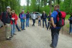 Puis en forêt