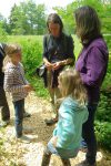 Découverte des plantes de la forêt