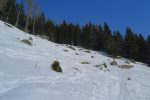 Montée dans un pâturage avant la forêt, il commence à faire chaud !