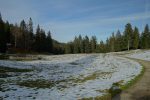 Après un bref passage en forêt, sur la route