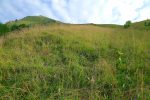 Herbes hautes et rosée, les muscles sont vite chauds vu la pente