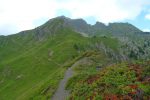 Col de Foron, dans le creux donc caché et le chemin pour le Col de Chalune