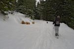 Le sentier de gauche monterait au sommet du Gaschneykopf, mais pour nous ce fut tout droit