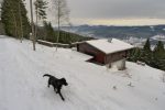 Un chalet joli, mais isolé en hiver, avec une belle vue sur la plaine et les montagnes de Munster