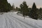 Autoroute à raquettes