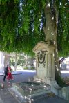 L'arbre prend sa place et pousse la pierre tombale