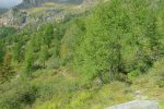 Retour en forêt
