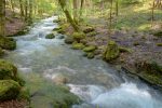 Rivière La Colline, Givrins