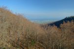 Il manque la vue sur les Alpes