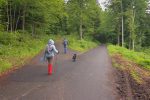 Vers 1100m, on quitte la route goudronnée nommée Route des Montagnes, pour une route forestière sur la gauche