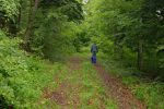 La route forestière devient plus herbeuse