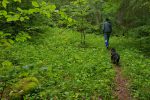 Le chemin est désormais pédèstre