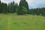 Puis on passe brièvement dans la forêt