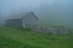 On arrive à Creux Devant, 1474m, la brume rend l'atmosphère particulière