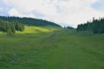 Puis on arrive devant la ferme de L'Arzière, ses chevaux et son âne